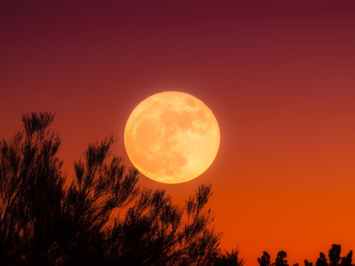 Full Moon November 2022: Satanic Panic?